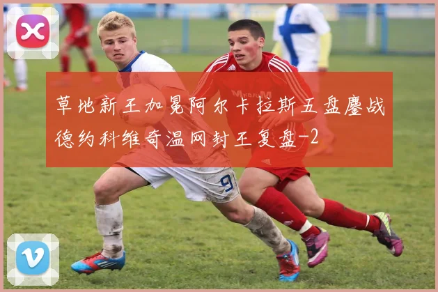 草地新王加冕阿尔卡拉斯五盘鏖战德约科维奇温网封王复盘